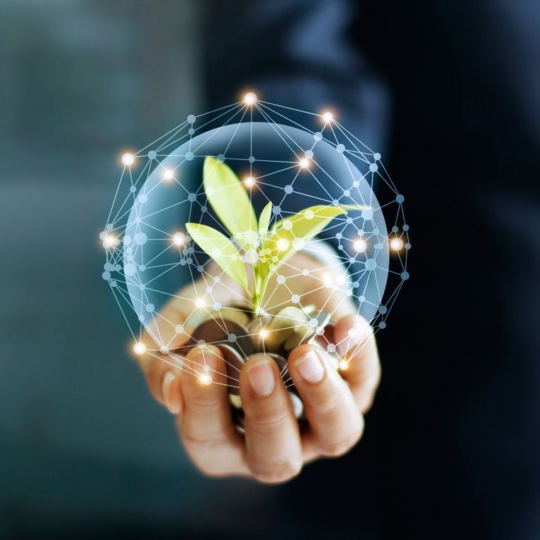Businessman hand with coins and sprout in network connection. Plant growing on pile of coins money. Money growth concept. 